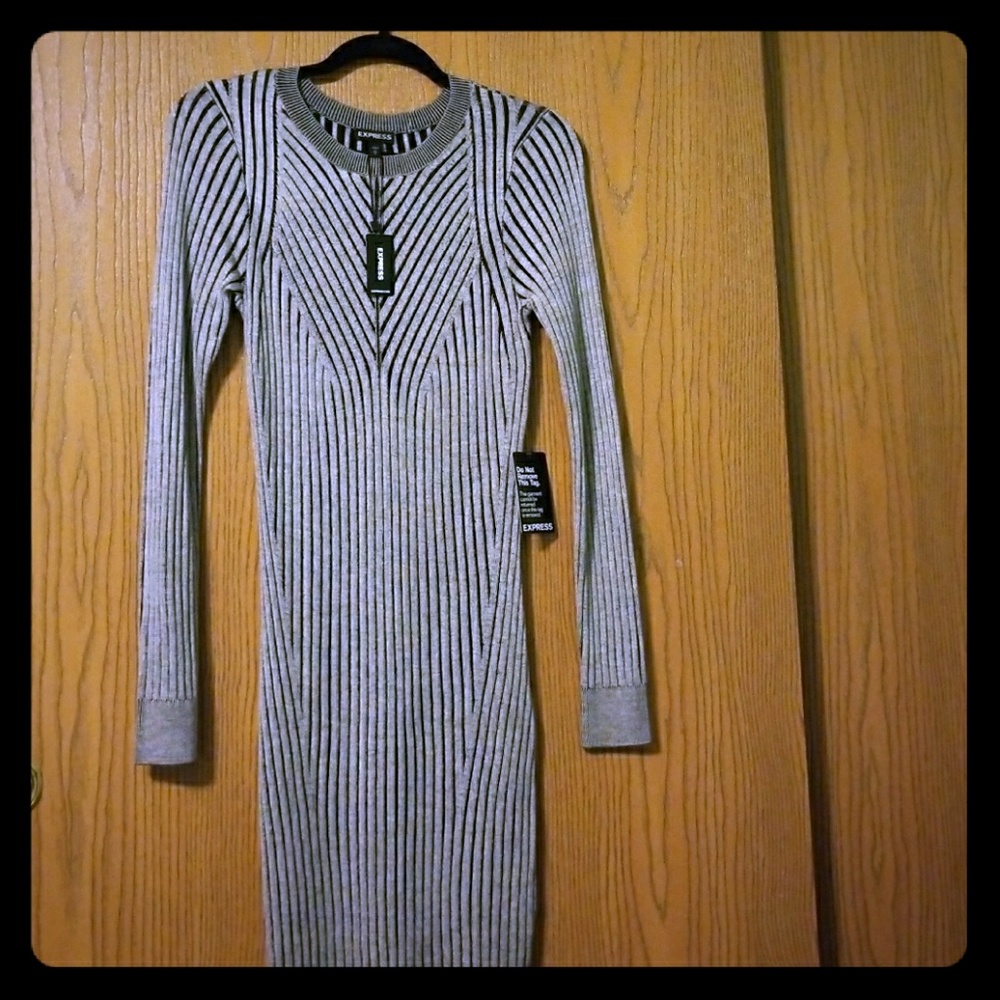 Express long sleeve dress